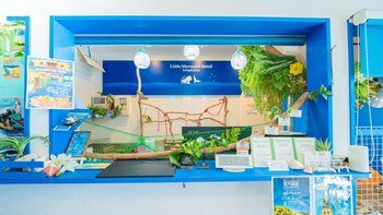 little mermaid hotel ishigakijima