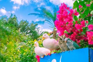 little mermaid hotel ishigakijima