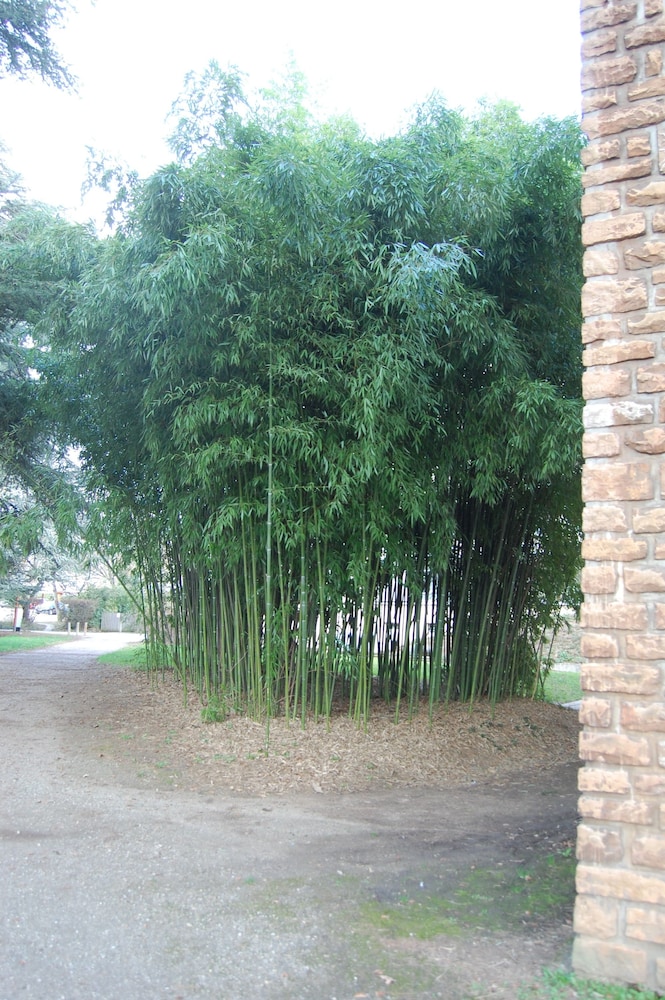 valpre