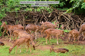 bhubaneshwar