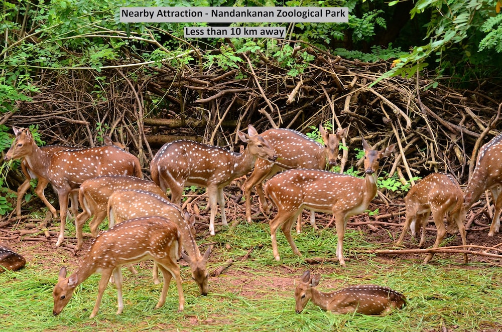 bhubaneshwar