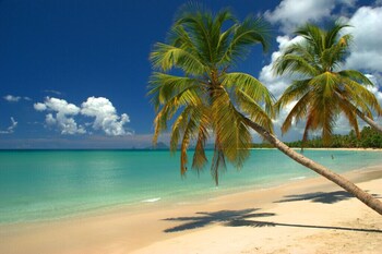 Hôtel Frégate Bleue,Le Francois>>Fort-De-France,3 star