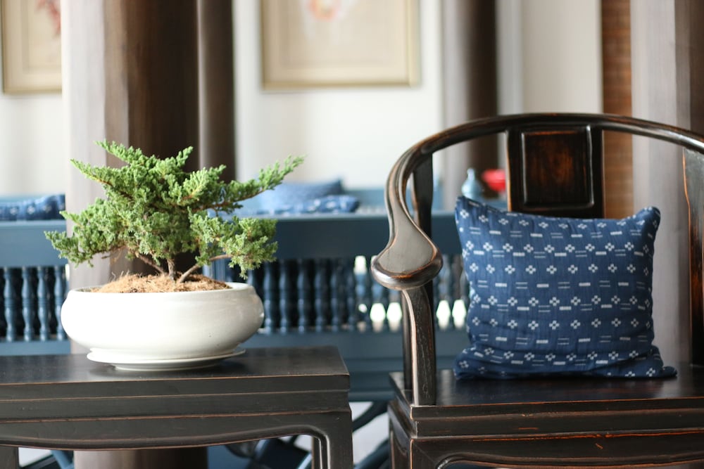 saran boutique hotel thapae