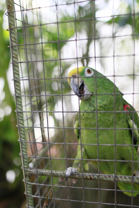 hersher studios and apartments