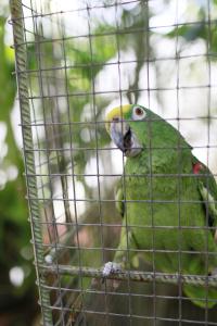 hersher studios and apartments