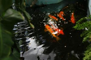 hersher studios and apartments