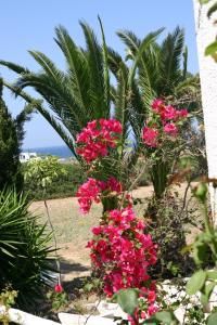 naxos