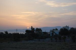 naxos