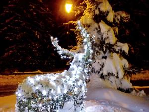 hotel boton dor and wellness a la thuile