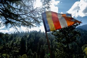 The Hostalgic Jibhi - Hostel,Jibhi>>Banjar,2 star