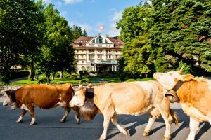 Le Grand Bellevue,Gstaad - Saanen>>Gstaad,5 star