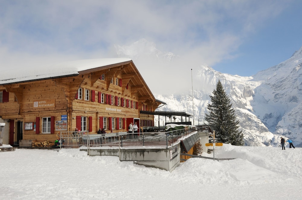 alpinhotel bort