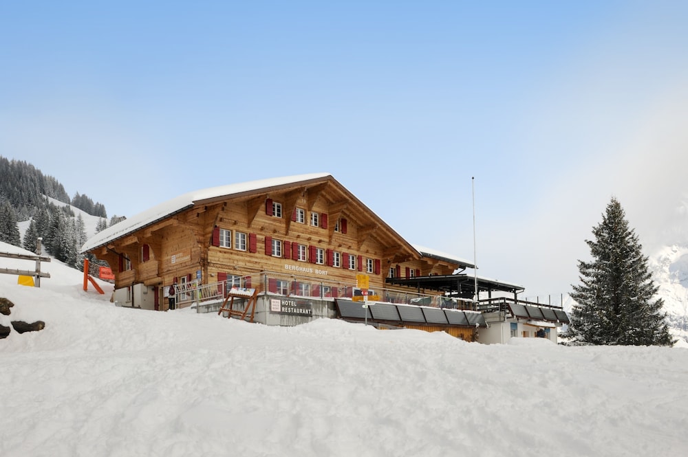 alpinhotel bort