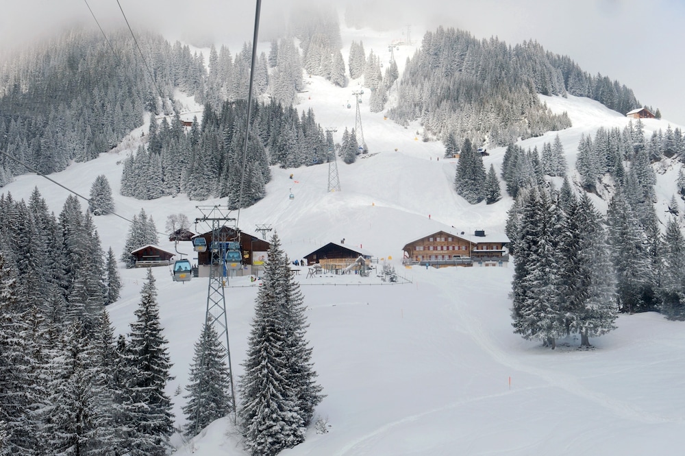 alpinhotel bort
