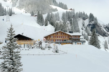 alpinhotel bort