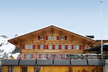 alpinhotel bort
