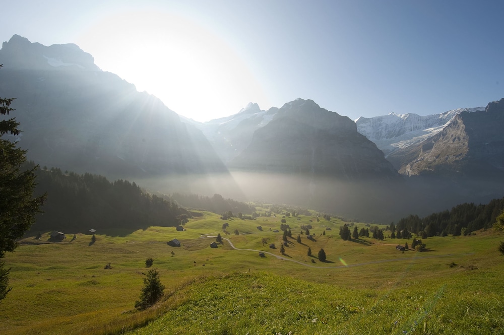 alpinhotel bort