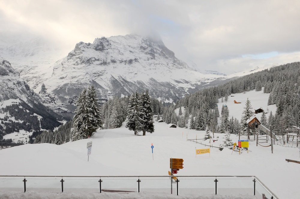 alpinhotel bort