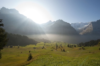 alpinhotel bort