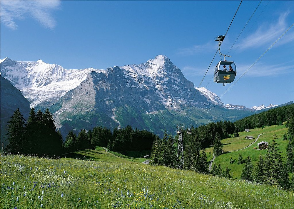 alpinhotel bort