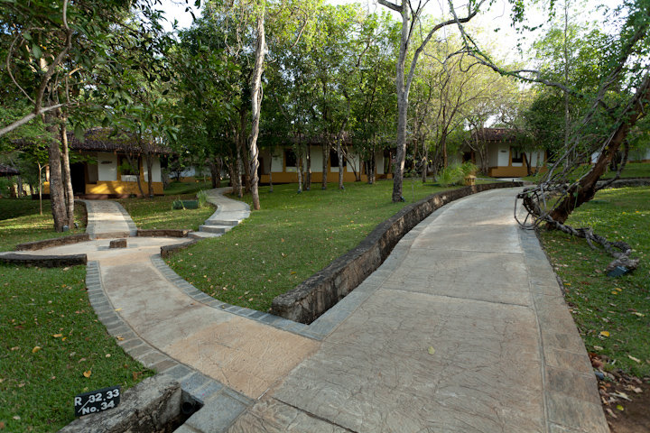 amaya lake dambulla