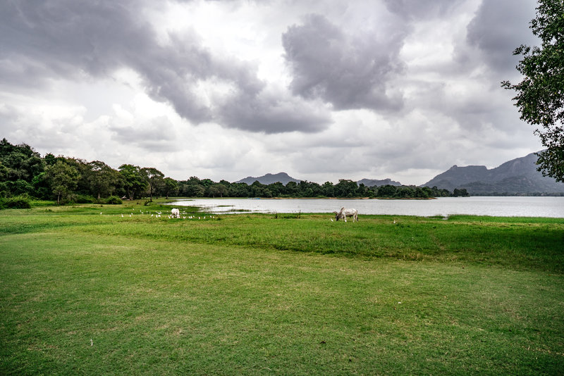 amaya lake dambulla