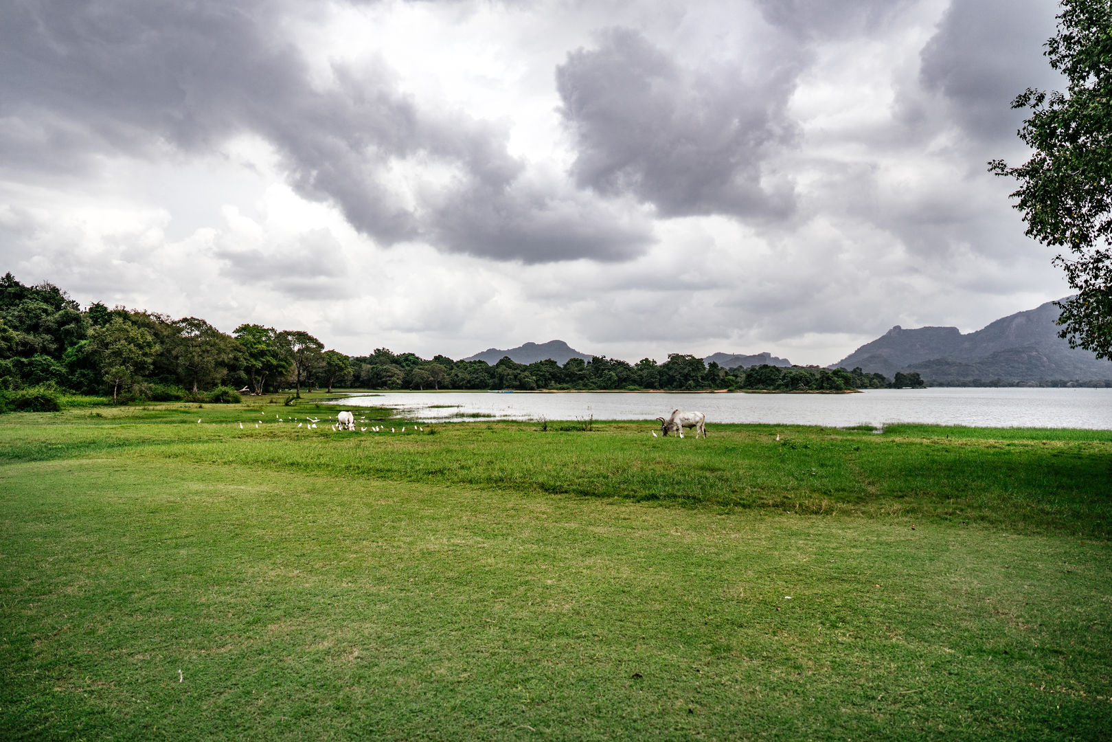amaya lake dambulla