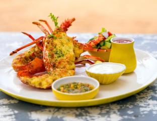 Jetwing Sea,Katana>>Colombo,4 star