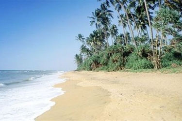 Hibiscus Beach Hotel And Villas,Colombo>>Bentota,4 star