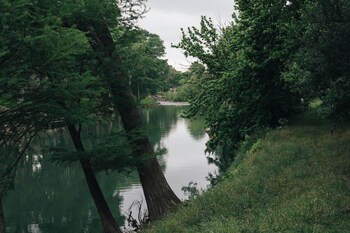 new braunfels