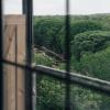 new braunfels