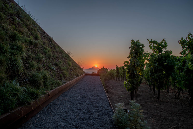 castellaro wine resort