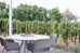 castellaro wine resort