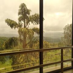 hotel panchgani crown