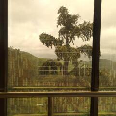 hotel panchgani crown