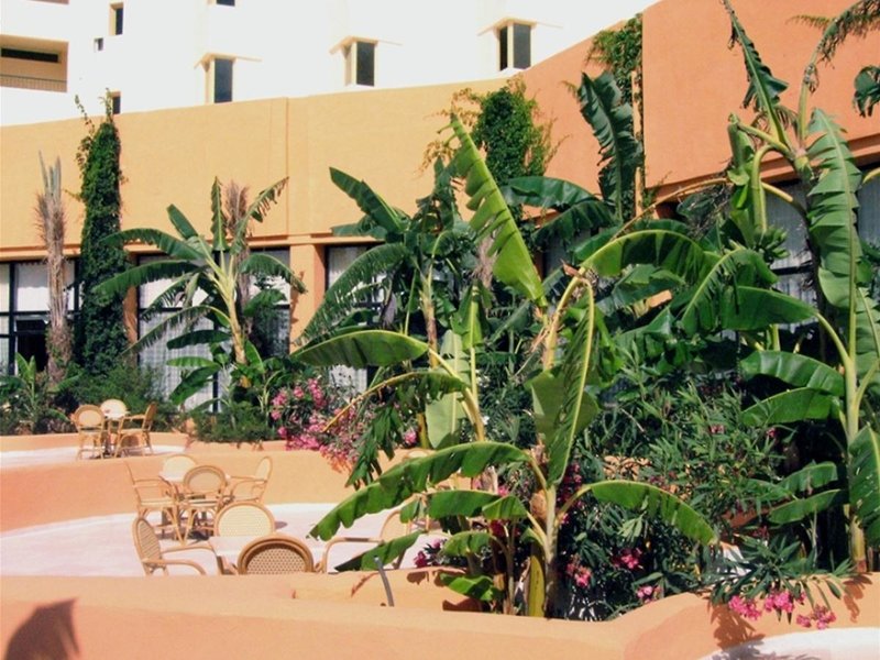 african queen hammamet