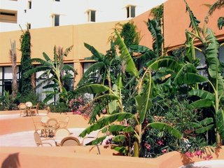 african queen hammamet