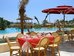 african queen hammamet