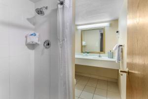 Holiday Inn Express Chicago-Downers Grove By Ihg,Downers Grove>>Chicago,3 star