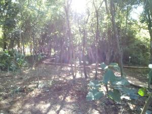 suica hotel and resort