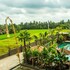 paon desa ubud hotel