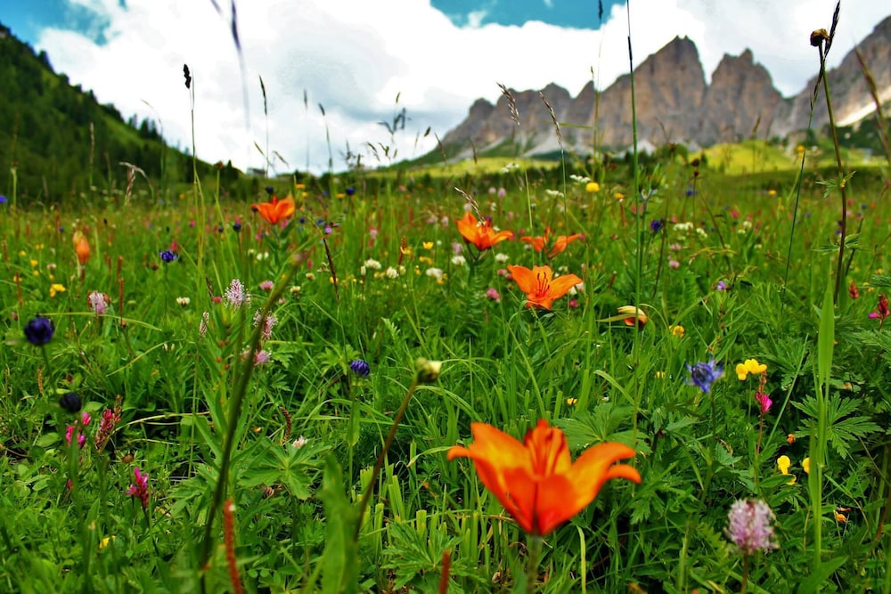 selva di val gardena