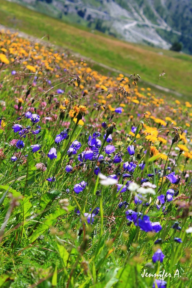 selva di val gardena