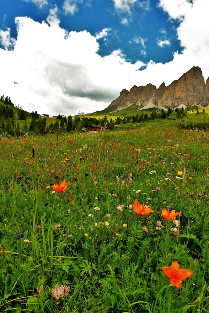 selva di val gardena