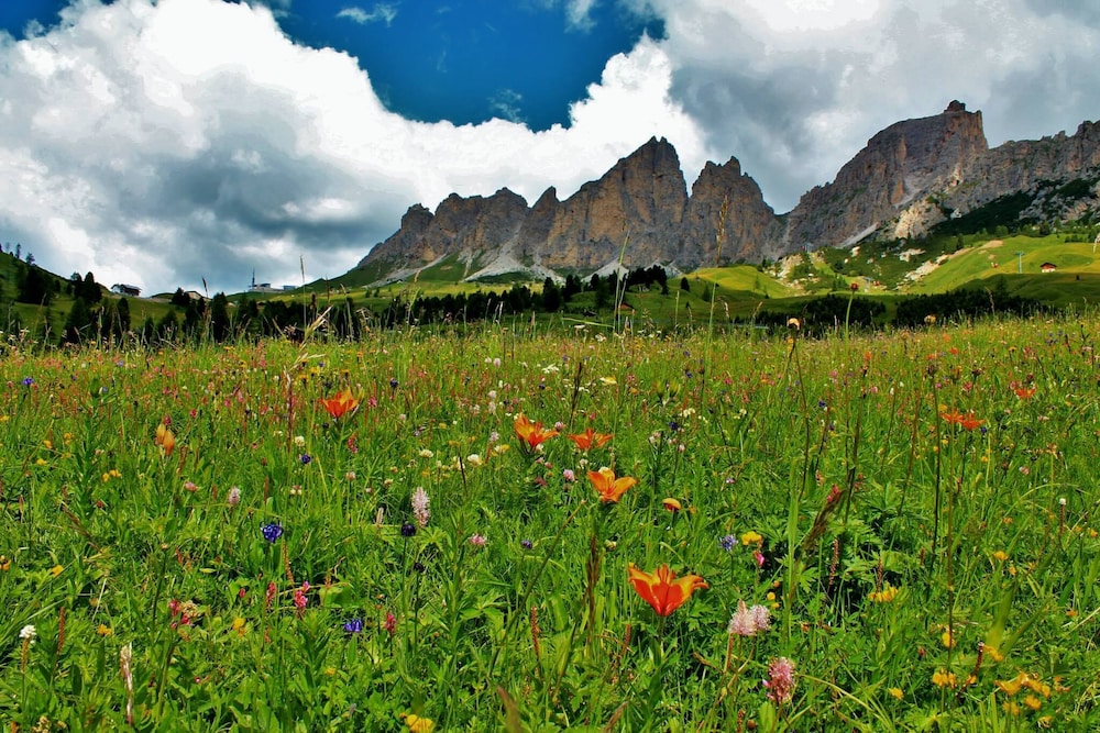selva di val gardena