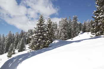 selva di val gardena