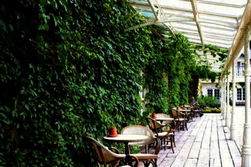 parkview hotel