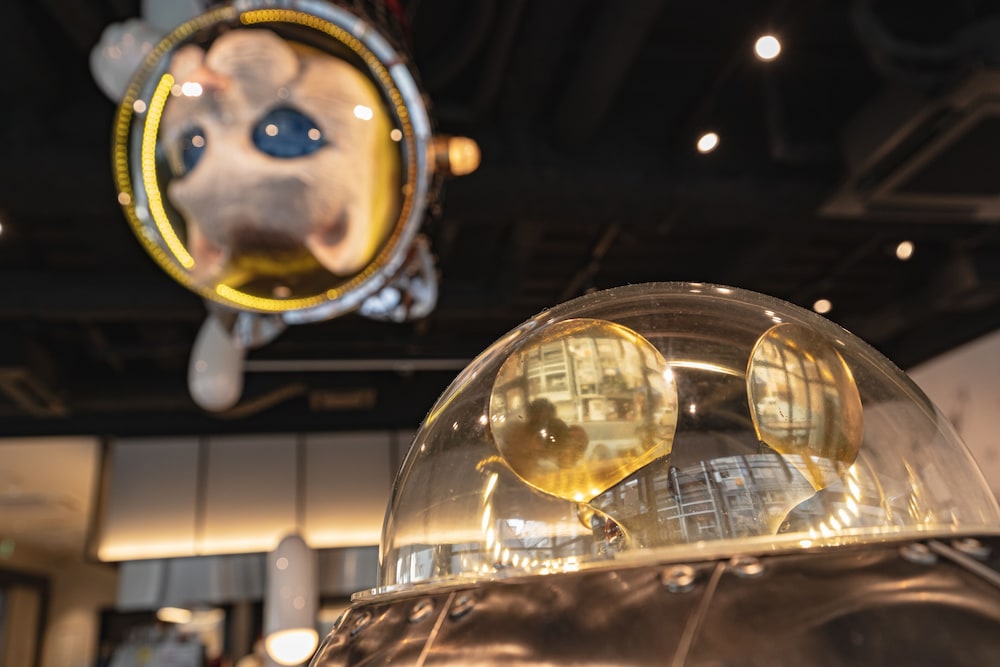 webase hiroshima hostel