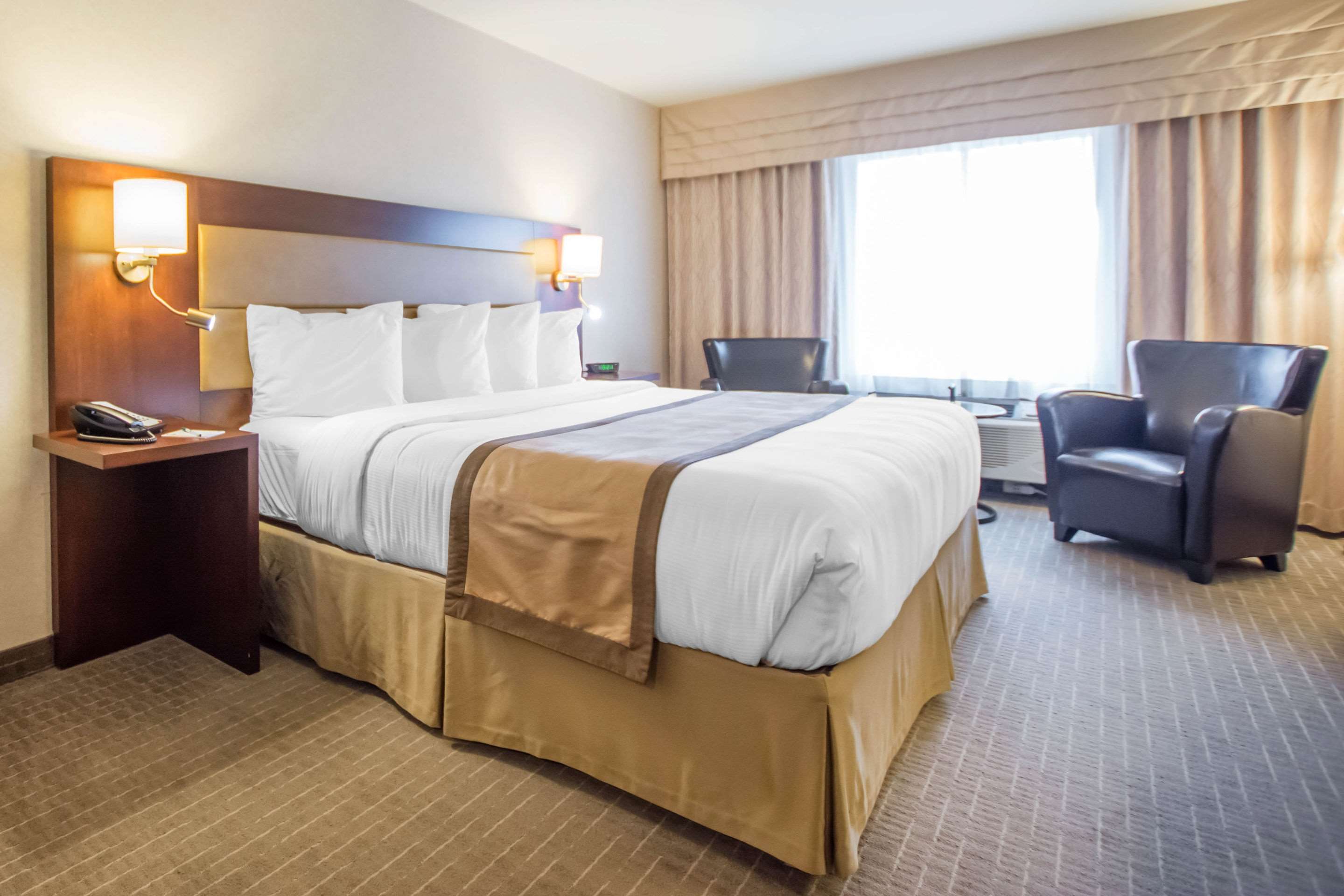 quality inn and suites