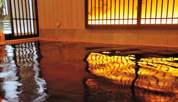 onyado nono asakusa natural hot springs